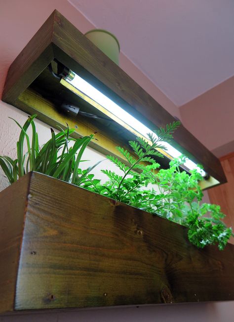 Plantgeek Chic - Kitchen Grow Light Shelves… | Halleck Horticultural Grow Light Wall Shelves, Indoor Grow Light Garden, Growing Herbs Indoors With A Grow Light, Indoor Plant Wall With Grow Lights, Modern Grow Light, Indoor Herb Garden With Grow Light, Indoor Herb Garden Grow Light, Shelves With Grow Lights, Indoor Grow Light Ideas