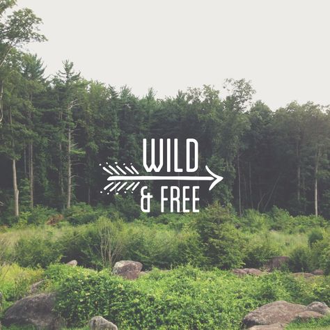 Wild & Free Wild And Free Homeschool Quotes, Jungle Quotes Wild, Quotes About Being Free And Wild, Yolo Quotes Teenagers Wild And Free, Nature Quotes Adventure Wild And Free, Van Logo, Quotes Amazing, Couple Travel Quotes, Friends Camping