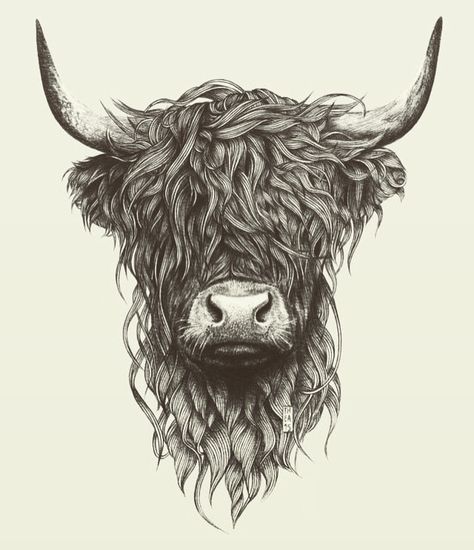 Highland Cow Tattoo, Canada Tattoo, Cow Tattoo, Highland Cow Art, Cow Drawing, Vegan Tattoo, Bull Tattoos, Cow Face, Highland Cattle