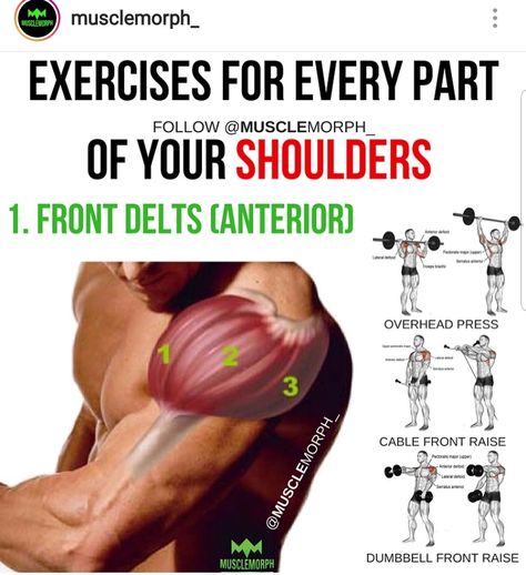 Shoulders (Front Delts) Lateral Exercises, Muscle Building Exercises, Delts Workout, Shoulder Training, Sixpack Workout, Gym Antrenmanları, Muscle Building Workouts, Weight Training Workouts, Workout Chart