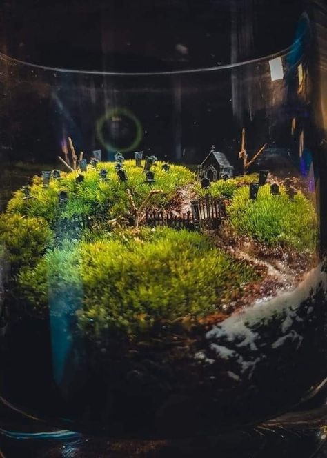 Spooky Fish Tank Ideas, Cemetary Terrarium Diy, Spooky Terrarium Ideas, Halloween Terrarium Ideas, Terrarium Graveyard, Fall Terrarium Ideas, Cemetery Terrarium, Halloween Fish Tank, Terrarium Halloween