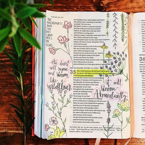 Eliza Price • Bible Journaling on Instagram: “be glad, rejoice & blossom abundantly. 🌼 be a wildflower. •Isaiah 35• #shereadstruth #shereadstruthbible #biblejournaling #biblejournal…” Isaiah Journaling, Be A Wildflower, She Reads Truth Bible, Inspire Bible, Journal Bible, Inspire Bible Journaling, Smash Books, Bible Notes, Old Testament