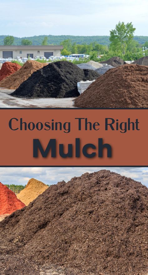 piles of different mulch Brick Herb Garden Ideas, Mulch Landscaping Ideas Around House, Garden Mulch Ideas Yard Landscaping, Flower Bed Mulch Ideas, Natural Mulch Landscaping, Landscaping Mulch Ideas, Dark Brown Mulch Landscaping, Alternatives To Mulch Landscaping, Best Mulch For Landscaping