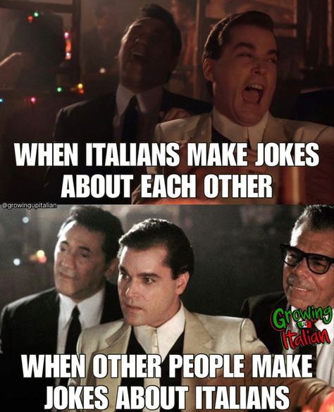 Funny Italian Memes, Italian Memes, Italian Pride, Italian Humor, Italian Heritage, Italian Quotes, Italian Beauty, Italian Language, Funny Dog Videos