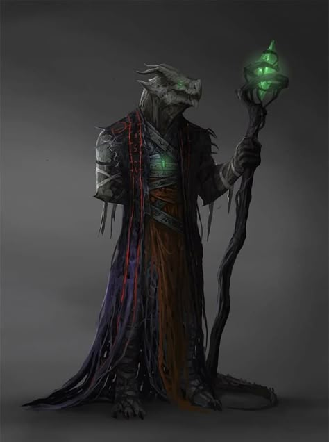 ArtStation - DragonBorn Mage, Matias Trabold Rehren Hobgoblin Necromancer, Dnd Landscape, Lizard People, Dnd Dragonborn, Npc Art, Pathfinder Character, Dnd Dragons, Character Pictures, By Any Means Necessary