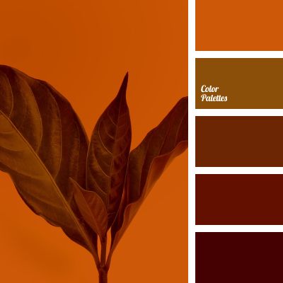 Color Palette #4420 Brown Contrast Color Schemes, Terracotta Color Palette, In Color Balance, Cheerful Quotes, Palettes Color, Color Palette Ideas, Wall Living Room, Colour Contrast, Staircase Decor