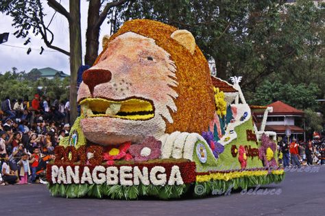 #Baguio City #Flower festival  or #Panagbenga via http://isnatako.wordpress.com/2013/02/27/panagbenga-2013-float-parade/ Panagbenga Festival, Baguio City Philippines, Festival Pics, Festival Photography, Baguio City, Parade Float, Flower Festival, Baguio, Annual Flowers