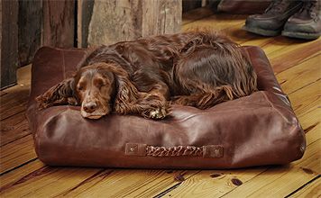 Your dog will love his square leather bed for its comfort, but you'll love its rugged appeal. Leather Dog Bed, Dog Sleeping Positions, Medium Dog Bed, Designer Dog Beds, Diy Dog Bed, Covered Dog Bed, Dog Bed Furniture, Cool Dog Beds, Leather Bed