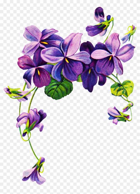 Violet Flower Tattoos, Violet Tattoo, Watercolor Border, Rose Clipart, Clipart Vintage, Wreath Drawing, Flower Drawing Design, Sweet Violets, Pansies Flowers