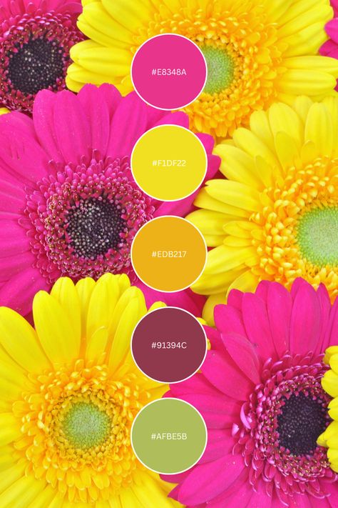 Use this beautiful color palette/color combo for inspiration on your next project! 🖤 #color #colorpallete #colorpaletteinspiration #bright #colorcombos Colorpallete Inspiration, Florist Color Palette, Pink Orange Yellow Color Palette, Neon Palette, Teal Palette, Teal Color Palette, Bright Color Schemes, Yarn Color Combinations, Color Design Inspiration