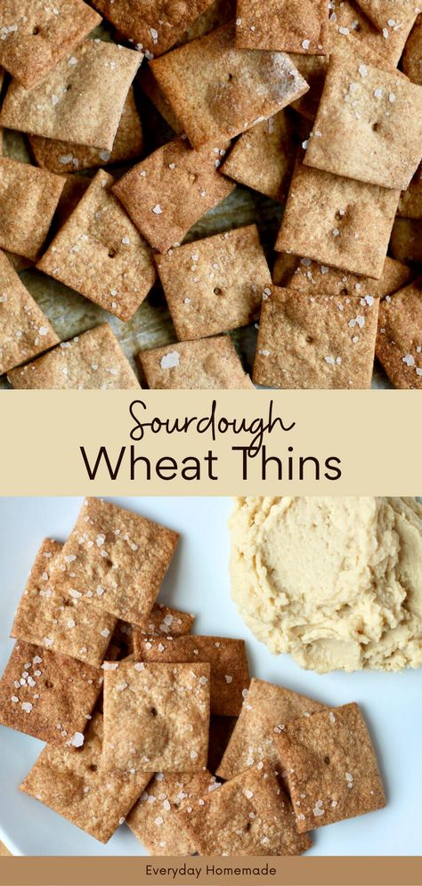 Elevate your snacking game with our Sourdough Wheat Thins – the best way to use sourdough discard! This easy and quick recipe, perfect for beginners, combines the goodness of whole wheat with the tangy flavor of sourdough starter. With a hint of butter and Greek yogurt, enjoy a healthy and satisfying treat that's both easy to make and delicious. Say goodbye to store-bought and savor the crunch of homemade wheat thins that make the most of your sourdough discard. Sourdough Wheat Thins, Whole Wheat Crackers Recipe, Wheat Crackers Recipe, Sourdough Discard Crackers, Discard Crackers, Homemade Sourdough Bread Recipes, Sourdough Crackers, Recipe Using Sourdough Starter, Cracker Recipe