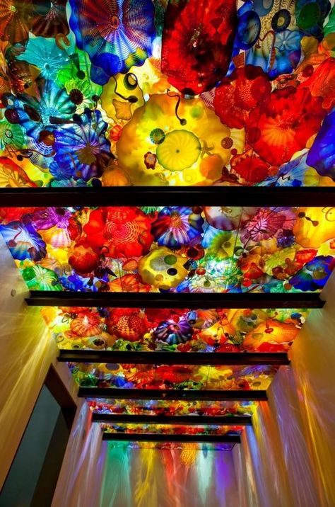 Dale Chihuly’s Vibrant Glass Sculpture Garden | Cuded Ceiling Artwork, Mfa Boston, Chihuly Garden, Arte Peculiar, Painted Glass Art, Dale Chihuly, Tech Art, Blown Glass Art, Chihuly