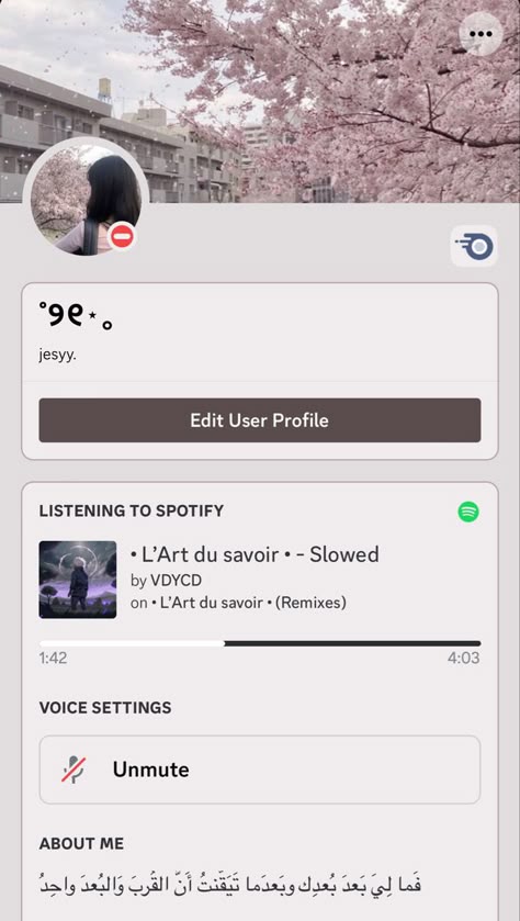 Discord Profile Sets, Aesthetic Twitter Profile, Username Ideas Discord, Discord Ideas Profile, Discord Usernames, Discord Username Ideas, Discord Profile Ideas, Discord Account, Good Apps For Iphone