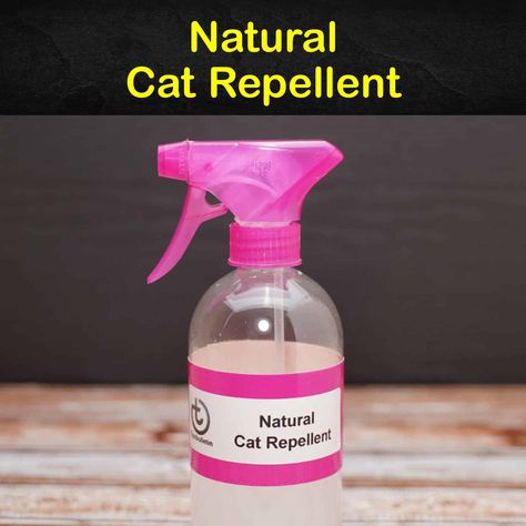 Keeping Cats Away - 12 Natural Cat Repellent Tips and Recipes Homemade Rodent Repellent, Mice Repellent Essential Oils, Diy Rat Repellent Spray, Diy Rodent Repellent, Mouse Repellent Diy Essential Oils, Rat Repellant Diy, How To Get Rid Of Rats In The House, How To Get Rid Of Rats Outside, Rat Traps Diy How To Make