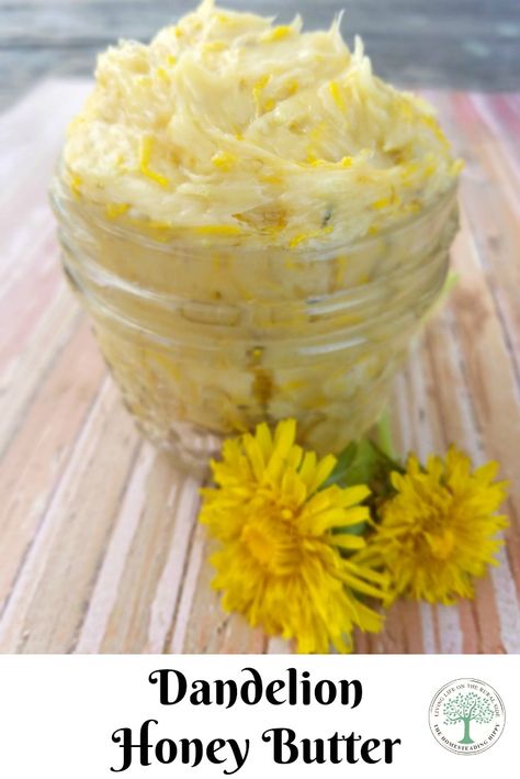 Dandelion Honey, Edible Flowers Recipes, Foraging Recipes, Foraged Food, Flavored Butter, Herbal Recipes, Butter Spread, Dandelion Recipes, Honey Butter