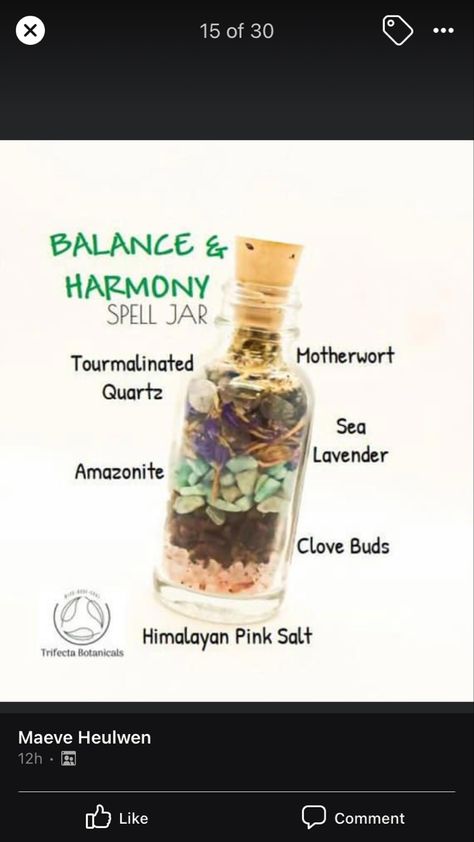 Harmony Spell Jar, Harmony Spell, Witches Jar, Book Of Spells, Charmed Book Of Shadows, Spells For Beginners, Jar Spells, Witch Bottles, Green Witchcraft