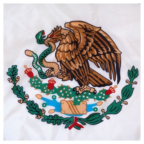 Mexican Flag Eagle, Mexican Clipart, Brown Eagle, Mexican Eagle, Bird Facts, Metal Flag, Best Flags, Eagle Flag, Flag Store