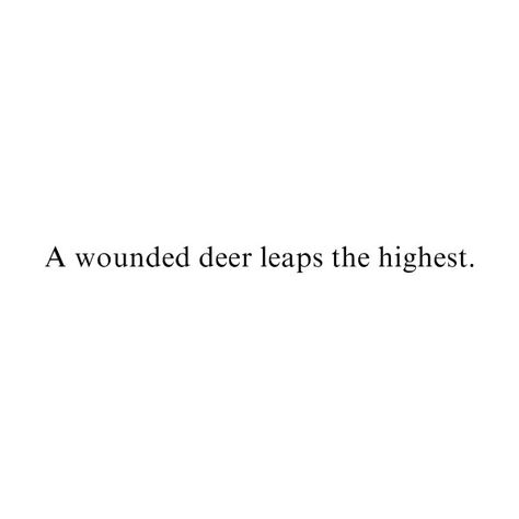 deer quote by {fairytale asylum} ❤ liked on Polyvore featuring text, quotes, words, fillers, sayings, phrase and saying Deer Quotes Inspiration, Deer Poetry, Hunt Quotes, Deer Quotes, Canine Poetry, Hunter Quote, Dog Poetry, Hunting Quotes, Quotes Words