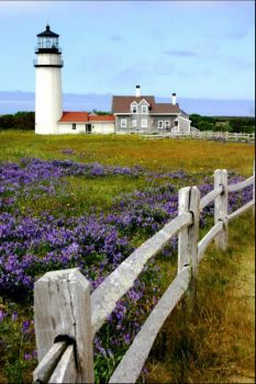 Cape Cod Lighthouses, Yankee Doodle, Lighthouse Photos, Lighthouse Pictures, Beautiful Lighthouse, Truro, Light House, Perfect World, Beach Cottages