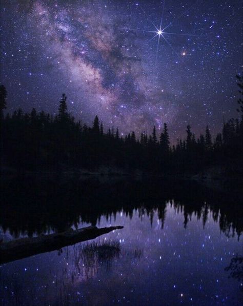 North Star Aesthetic, Star Aesthetic, Night Aesthetic, North Star, Night Sky, Stars