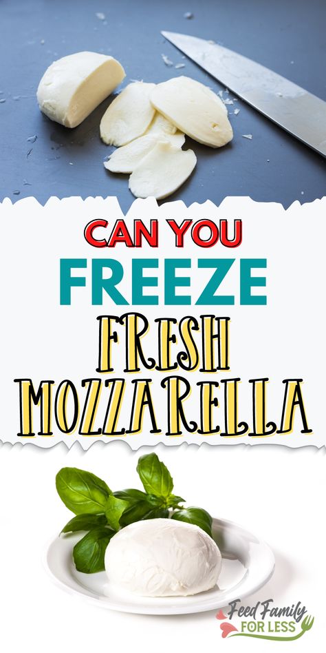 Fresh Mozzarella Ideas, Freezing Cheese How To, How To Use Fresh Mozzarella, Fresh Mozzarella Cheese Recipes, Can You Freeze Cheese, Fresh Mozzarella Uses, What To Make With Fresh Mozzarella, Recipes With Fresh Mozzarella Cheese, Recipes Using Fresh Mozzarella Cheese