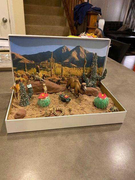 Desert Biome Diorama, School Project Animal Habitat, Shoe Box Biome School Projects, Biome Box Project, Desert Habitat Diorama, Desert Biome Shoebox Project, Animal Habitats Project, Biome Science Project, Animals Habitat Project