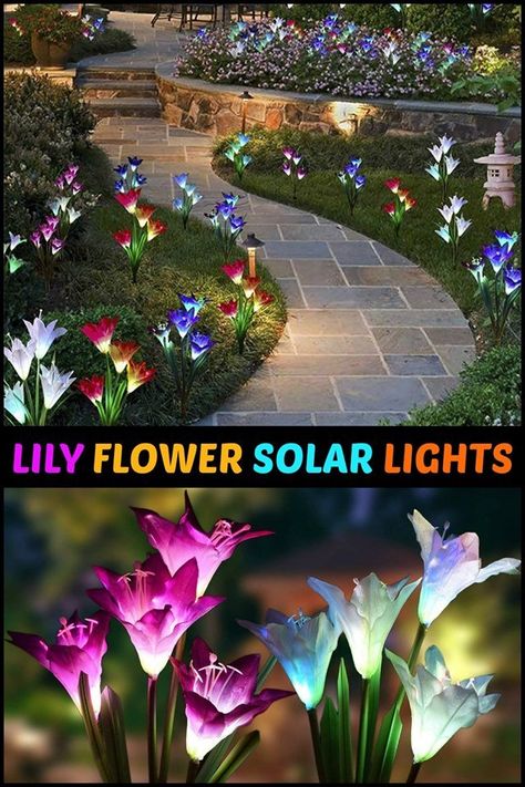 Lily Flower Solar Lights Solar Flower Lights, Lights For Garden, Solar Garden Stakes, Solar Flower, Patio Backyard, Solar Powered Lights, Unusual Flowers, Solar Garden, Flower Lights