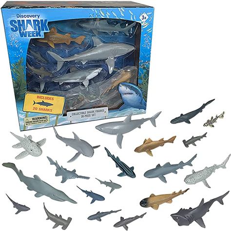 Shark Room, Leopard Shark, Types Of Sharks, Shark Decor, Shark Toy, Nurse Shark, Small Shark, Mako Shark, Shark Plush