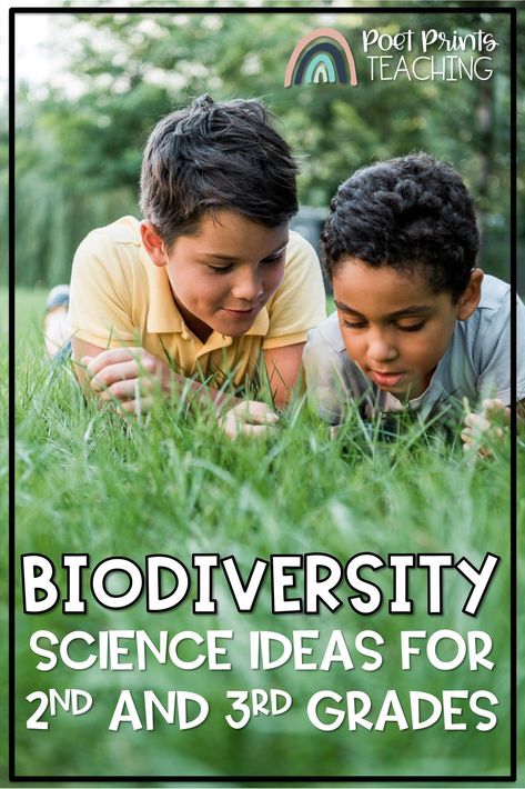 Are you teaching about the diversity of life in 2nd or 3rd grade science? Lessons about local biodiversity are a great way to get students excited about the plants and animals in their own back yards. Take a peek at the best activities, projects, experiments and inquiry based learning ideas. 3rd Grade Science, Science Lessons Elementary, Grade 3 Science, Elementary Science Classroom, Life Science Activities, Grade Three, Back Yards, Third Grade Science, Science Notebooks