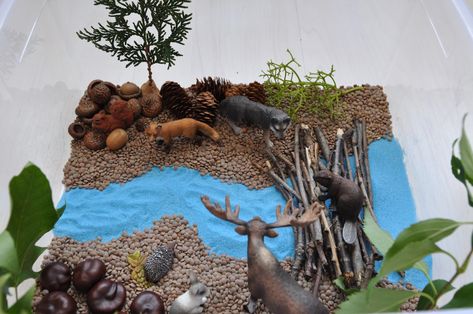 Creative Projects for Kids: Beaver Dam Sensory Bin Beaver Habitat, Beaver Lodge, Diorama Kids, Habitats Projects, Toddler Sensory Bins, Art Activities For Toddlers, Beaver Dam, Sensory Boxes, Animal Crafts For Kids