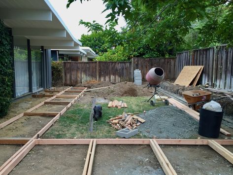 how it's going: our backyard - Dear House I Love You No Mow Backyard, No Grass Yard, No Mow Grass, Creeping Vines, Jasmine Vine, Acapulco Chair, Fence Stain, No Grass Backyard, Front Yard Plants