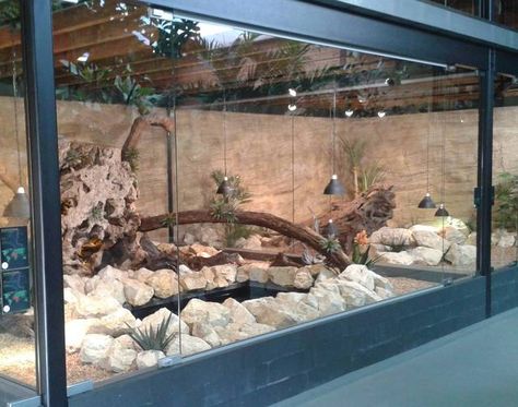 enclosure reticulated python Reticulated Python Enclosure, Python Enclosure, Reptile Tanks, Snake Cages, Animal Enclosures, Snake Terrarium, Zoo Inspiration, Snake Enclosure, Tortoise Enclosure