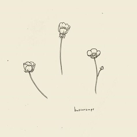 Buttercup Flowers Tattoo, Simple Buttercup Tattoo, Tiny Buttercup Tattoo, Simple Cute Flower Tattoos, Tattoos About Sisters, Buttercup Drawing Flower, Ring Finger Flower Tattoo, Buttercup Flower Tattoos, Buttercup Flower Tattoo Simple