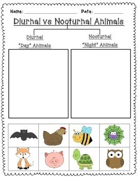 Nocturnal and Diurnal Animal Sort is a simple cut and paste activity to reinforce learning about day and night. Nocturnal Vs Diurnal Animals Preschool, Diurnal Animals Preschool, Nocturnal And Diurnal Animal Activities, Diurnal And Nocturnal Animals, Nocturnal Animals Preschool Crafts Art Projects, Nocturnal Animals Preschool Crafts, Nocturnal Animals Activities, Night Monkey, Diurnal Animals