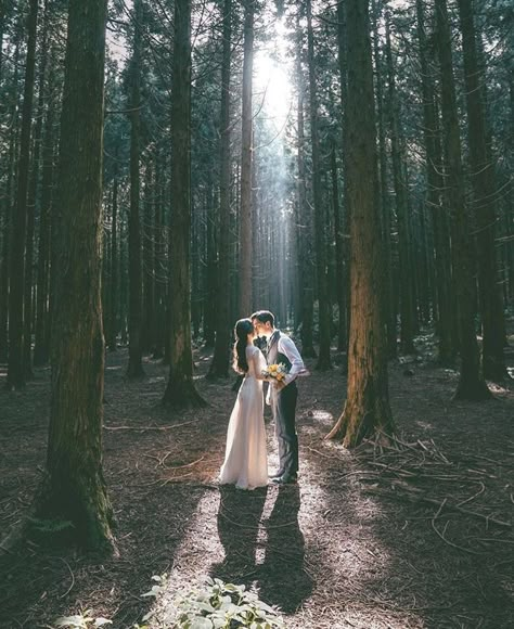 Pine Forest Wedding Photography, Pre Wedding Photoshoot In Forest, Forest Prenup Ideas, Forest Prenup Shoot, Fairytale Prenup Shoot, Pre Wedding Shoot Ideas Forest, Forest Wedding Shoot, Simple Prewedding Photoshoot Outdoor, Forest Pre Wedding Photoshoot