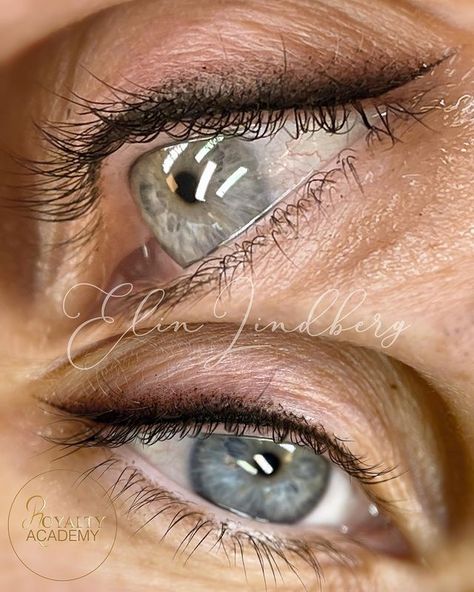 Permanent Eyeliner for Aging Eyes - The Best Styles & Colors Lid Eyeliner, Pmu Eyeliner, Older Eyes, Aging Eyes, Permanent Makeup Artist, Tattoo Eyeliner, Permanent Makeup Eyeliner, Micro Blading, Permanente Make-up