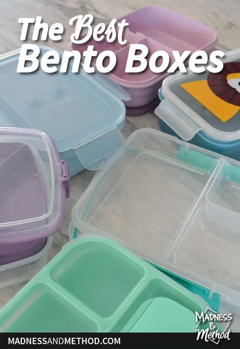 best bento box text and boxes Diy Bento Boxes, Bento Boxes For Kids, Bento Box Kids, Popular Food, Fun Video, Bento Boxes, Diy Blog, Bento Box, Food Containers