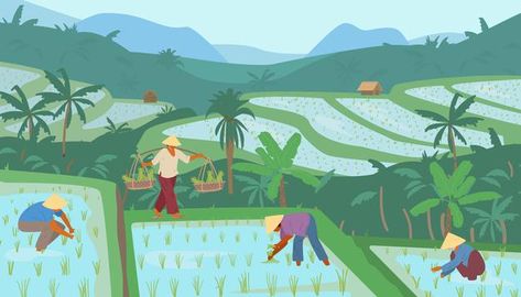 Asian Rice, Paint Vector, Rice Fields, Straw Hats, Mural Wall Art, Aesthetic Iphone Wallpaper, Cartoon Styles, Anime Character Design, Agriculture