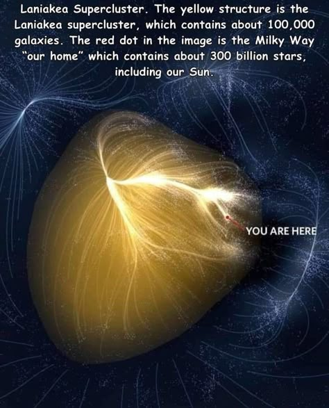 Laniakea Supercluster, Home Pic, Ap Physics, Astronomy Facts, Star Clusters, Astronomy Science, Space Stuff, Cool Science Facts, Space Facts