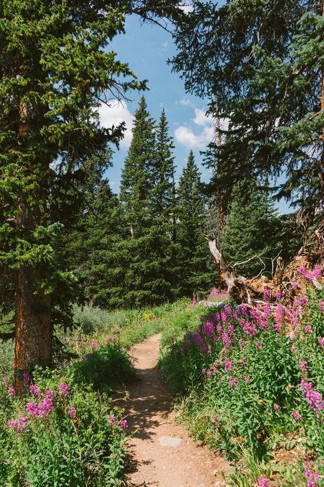 Ella Name, San Juan Mountains, Natural Disaster, Elements Of Nature, Months Of The Year, Pretty Photos, Camping Trip, Nature Aesthetic, Pretty Places