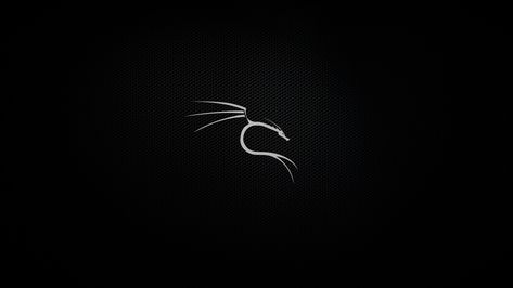 Kali Linux Wallpapers 4k Pc Desktop, Kali Linux Wallpapers 4k Desktop, Snake Wallpaper Laptop, Hacker Wallpaper Desktop, Scary Wallpaper Pc, Hacking Wallpaper For Pc, Kali Linux Wallpapers 4k, Kali Linux Logo, Kali Linux Wallpapers