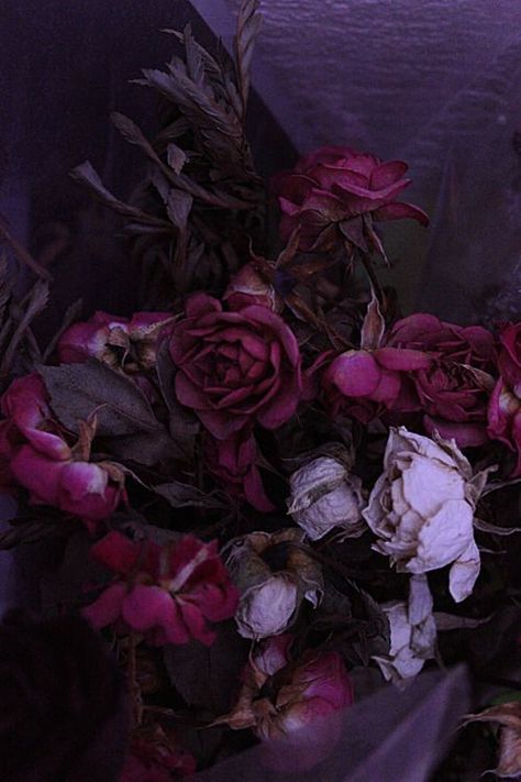 A Bunch Of Flowers, Yennefer Of Vengerberg, Pastel Decor, Dark Flowers, All Things Purple, Dark Floral, Bunch Of Flowers, Purple Lilac, Shades Of Purple