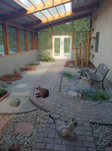 Catio Ideas, Cat Space, Cat Enclosures, Cat Patio, Outdoor Cat Enclosure, Cat Run, Cat House Diy, Cat Sanctuary, Outdoor Cat House