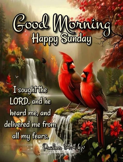 Sunday Morning Blessings, Joy Cometh In The Morning, Good Morning Animals, Sunday Morning Quotes, Sunday Greetings, Good Sunday Morning, Christian Poems, Week Quotes, Sunday Blessings