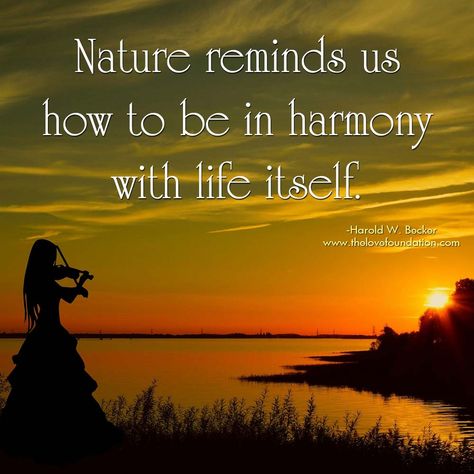 Nature reminds us how to be in harmony with life itself.-Harold W. Becker #UnconditionalLove Roots Quotes, Human Nature Quotes, Harmony Quotes, Mindful Travel, Mother Nature Quotes, Wild Women Sisterhood, Earth Quotes, Retreat Ideas, Lines Quotes