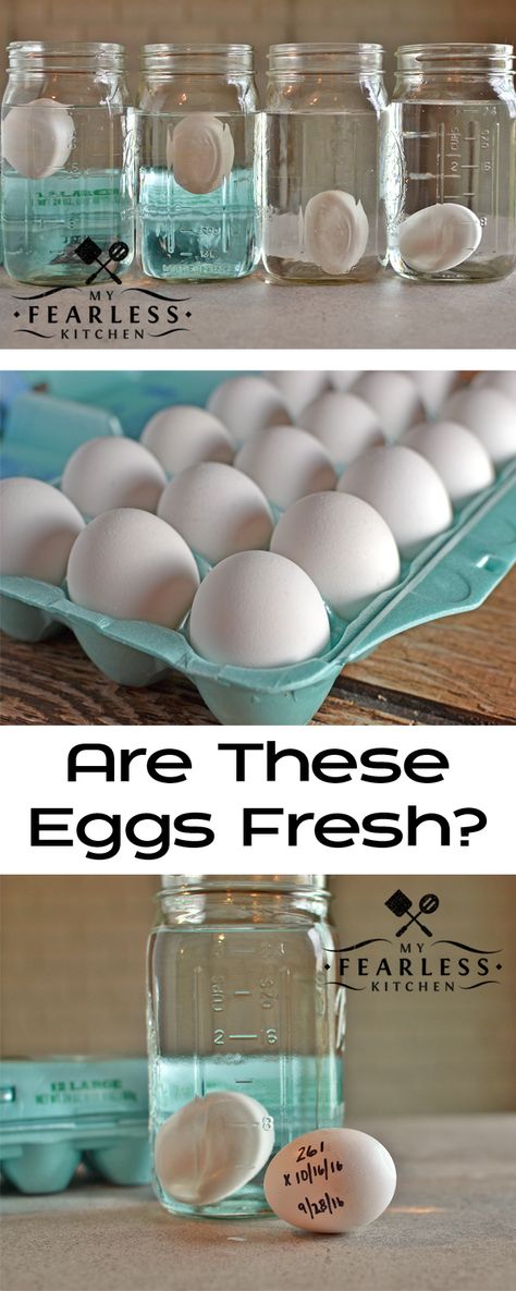 Are These Eggs Fresh? from My Fearless Kitchen. Have you ever wondered how old those eggs in your refrigerator are? You can quickly and easily test eggs for freshness, and never wonder again! Plus, get some great recipes for cooking with eggs! Check Eggs For Freshness, Egg Test, Kitchen Help, Egg Dish, Food Facts, Fresh Eggs, Hormone Imbalance, Breakfast Time, How Old