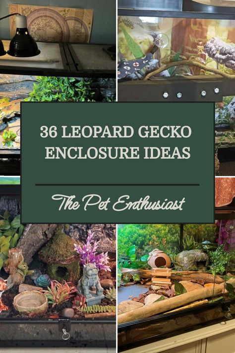 Are you looking for ideas to build your first leopard gecko tank? We put together excellent ideas for both new and advanced owners. Reptile Terrarium Ideas Diy, Toad Enclosure Ideas, Leaped Gecko Tank Set Up, Leopard Gecko Vivarium Ideas, Leapord Gecko Cages, Remi Lebeau, Bioactive Leopard Gecko Tank, Leopard Gecko Enclosure Ideas, Cute Leopard Gecko Tank Ideas