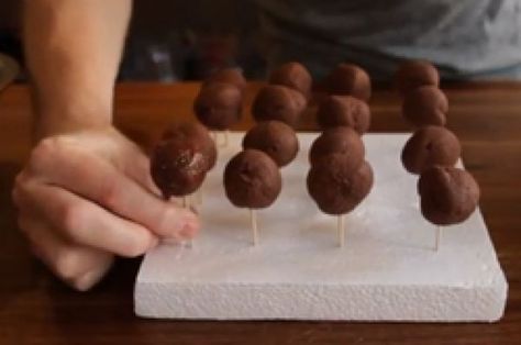 VIDEO: How to Dip Chocolate Truffles | SAVEUR Ganache Truffles, Coconut Hot Chocolate, Christmas Truffles, Chocolate Work, Oreo Balls, Candy Truffles, Culinary Techniques, Truffle Recipe, Cake Truffles