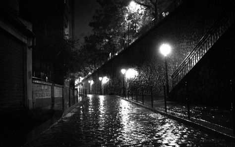 Luc Dartois 2019 -- Paris la nuit sous la pluie, rue Berton, reflets de la lumière des lampadaires, photo artistique noir et blanc -- Paris by night under the rain, Berton street, reflected glare of the lights from the street lamps, black and white aesthetic photography -- #Dartois #LucDartois #Paris #RuesDeParis #StreetsOfParis #ParisLaNuit #ParisByNight #Nuit #Night #Pluie #Rain #Photo #NoiretBlanc #BlackandWhite Black And White Aesthetic Photography, White Aesthetic Photography, Lamps Black, Rain Photo, Rain Art, Under The Rain, Paris Place, Night Landscape, Paris Art