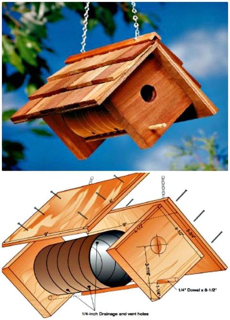 Diy Birdhouse Ideas, Build A Birdhouse, Diy Birdhouse, Birdhouse Ideas, House Kits, Bird House Feeder, Bird House Plans, Bird House Kits, Bird Aviary